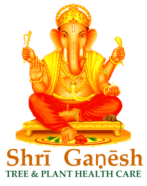 Ganesh Tree & Plant Health Care Logo